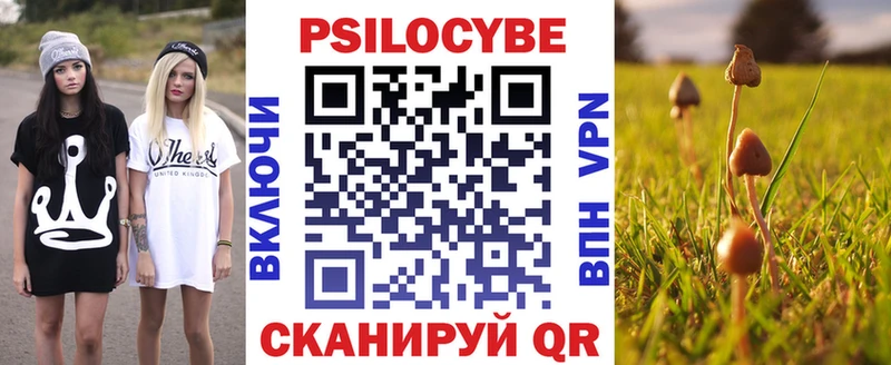 как найти закладки  Петровск-Забайкальский  Галлюциногенные грибы Cubensis 